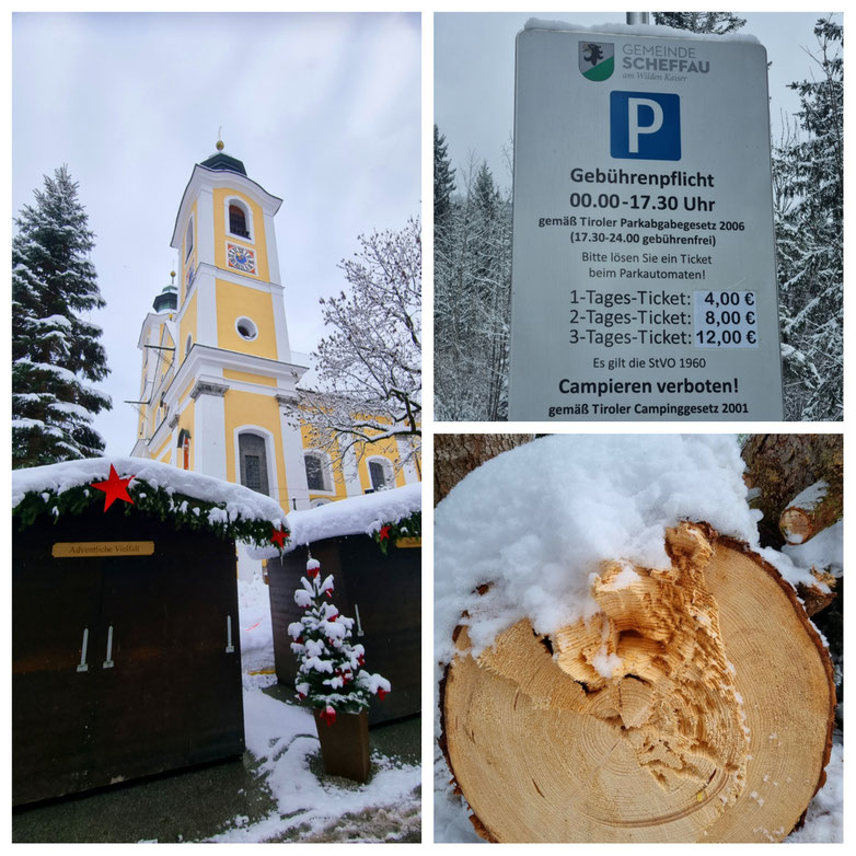 babebi-ontour.com, Hatschn&Haxln, durch ganz Österreich, Tirol, Scheffau am Wilden Kaiser, Schneeschuhwanderung, Winterwunderland, Kaisergebirge, Gämsen, Tiefschnee, Wanderung, Rundtour, Winterwandern, Urlaub in Tirol