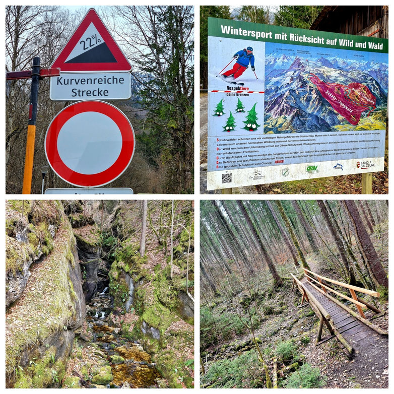 Radtour, Puch bei Hallein, Grödig, Untersberg, Großgmain, Waldweg, 22% Steigung, Frühling, kurze Radtour, 