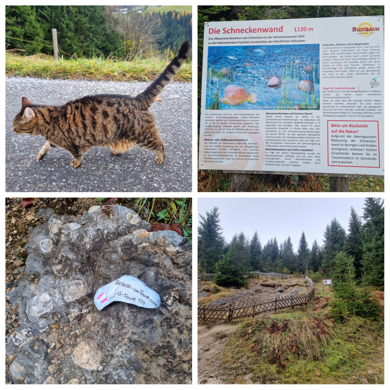 babebi-ontour.com, Hatschn&Haxln, durch ganz Österreich, Salzburger Land, Russbach am Paß Gschütt, Tennengau, Geisterwald, Familienwanderung, Schneckenwand, Herstwanderung, Rundwanderung