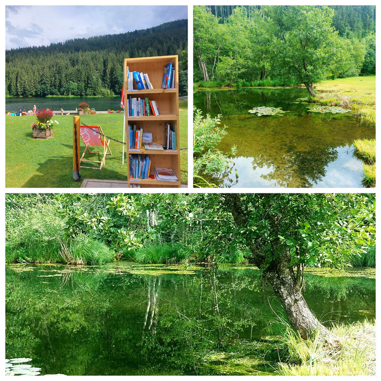  Zeitzeugen, Mediationsweg, Wanderung, Wasserlauf, Alte Mühle, Stille, Kärnten, Urlaub,  Urlaub Kärnten, Poitschacher Graben, Ringelnatter, Radtour, Brunnen, babebi-ontour.com, Hatschn&Haxln, durch ganz Österreich, Kärnten, Urlaub in Kärnten, Radtour 