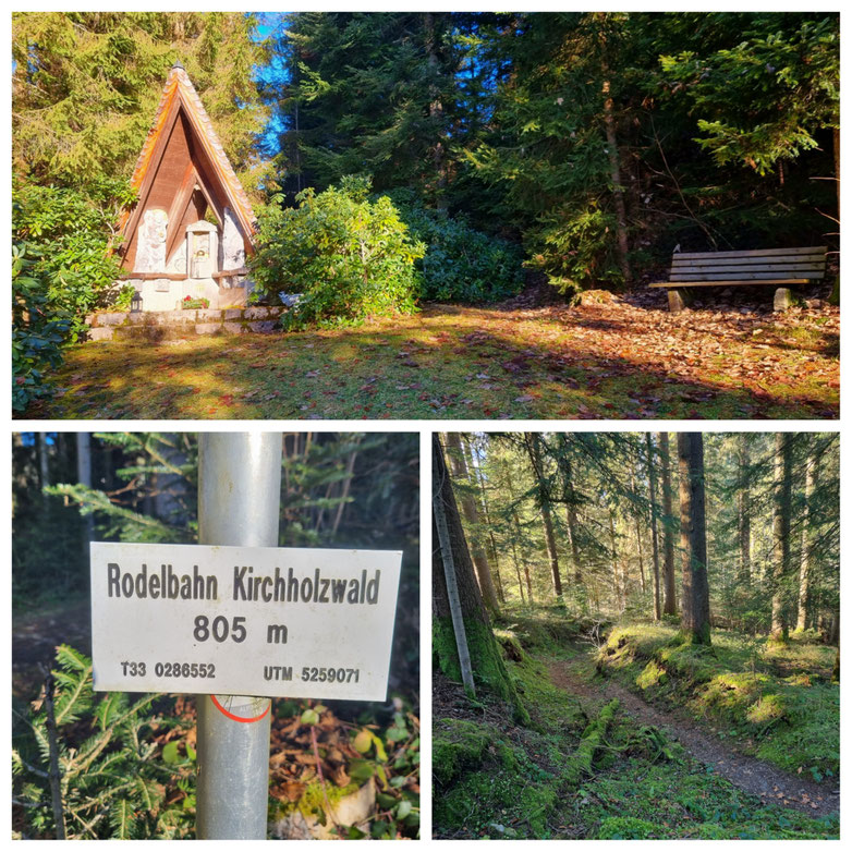 babebi-ontour.com, Hatschn&Haxln, durch ganz Österreich, Tirol, Hopfgarten im Brixental, Hohe Salve, Rodelbahn, G´sundheitsbründl, kurze Wanderung