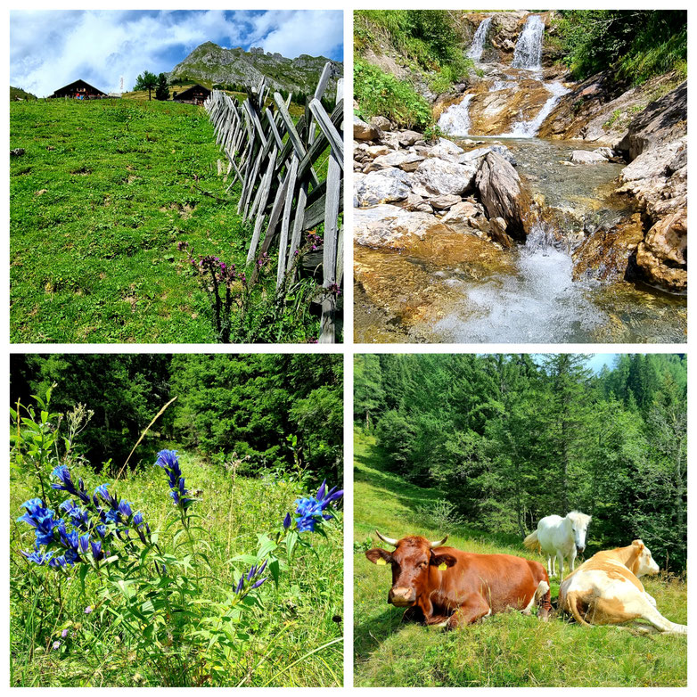 babebi-ontour.com, Hatschn & Haxln, durch ganz Österreich, Großarltal, Hüttschlag, Berg Gesund, Tappenkarsee, Wanderung, Panorama, Tal der Almen, Draugstein