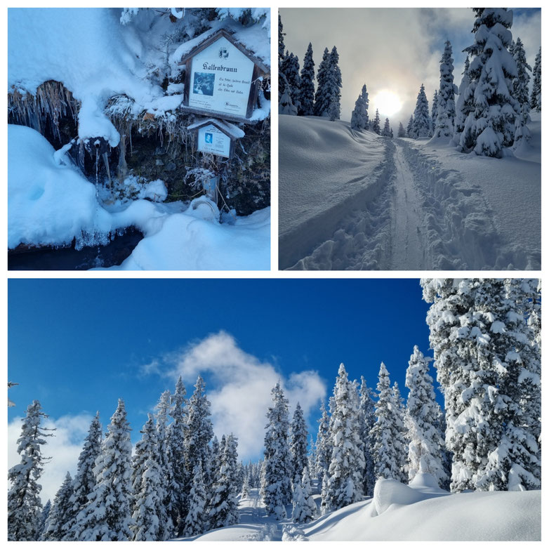 babebi-ontour.com, Hatschn&Haxln, durch ganz Österreich, Skitour, Abseitstour, Lawinensicher, Panorama, Bischofshofen, Mühlbach am Hochkönig, Arthurhaus, Schneeschuhwanderung,