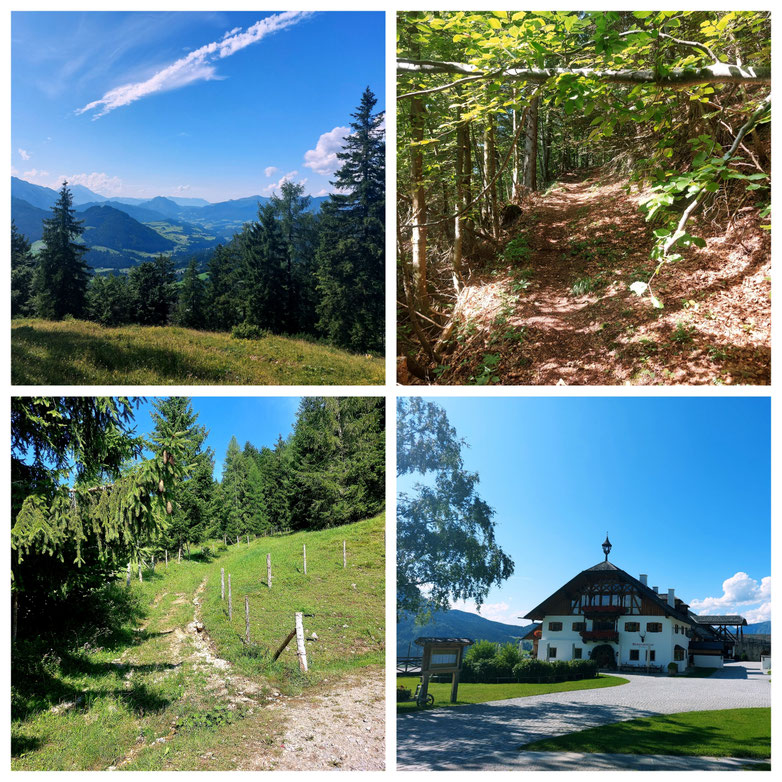 Panorama, Trail Run, Winterstellgut, Lammertal, Salzburg, Alm, Sommerurlaub, Urlaub mit Kindern, Ferien