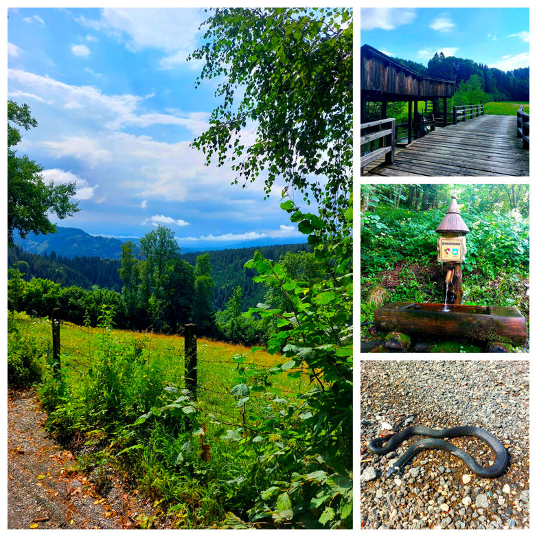 Urlaub Kärnten, Poitschacher Graben, Ringelnatter, Radtour, Brunnen, babebi-ontour.com, Hatschn&Haxln, durch ganz Österreich, Kärnten, Urlaub in Kärnten, Radtour Kärnten, Ossiacher See, Gerlitzen, Mittelpunkt von Kärnten, 