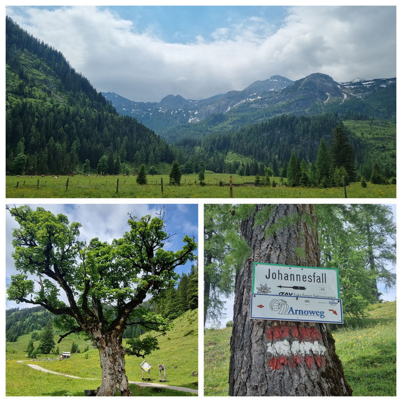 babebi-ontour.com, Hatschn&Haxln, durch ganz Österreich, Johannes Wasserfall, Untertauern, Wandern in Untertauern, Kraftplatz, Wasserfall, Spielplatz für Kinder, Gnadenalm,