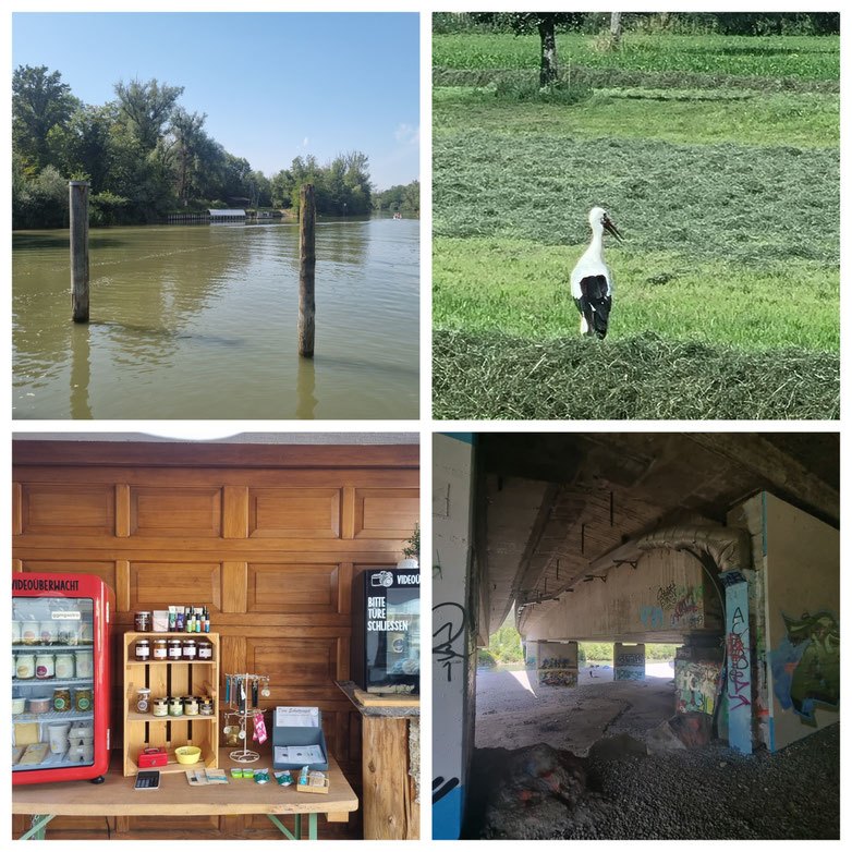 babebi-ontour.com, Hatschn&Haxln, durch ganz Österreich, Bregenzer Wald, Vorarlberg, Bregenzerwälderhaus, Bregenzerache Schlucht, Flussbaden, Bodensee, Andelsbuch, Sibratsgfäll,