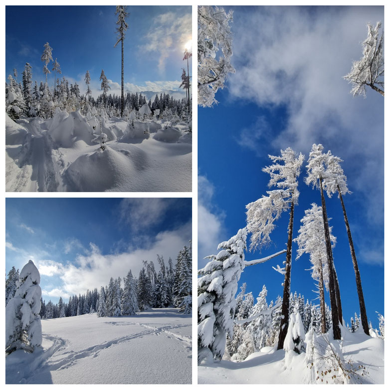 babebi-ontour.com, Hatschn&Haxln, durch ganz Österreich, Skitour, Abseitstour, Lawinensicher, Panorama, Bischofshofen, Mühlbach am Hochkönig, Arthurhaus, Schneeschuhwanderung,