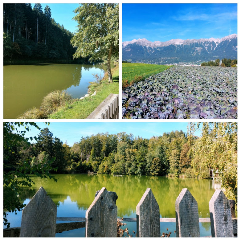 Herzsee, Herztal, Mühlsee, Innsbruck, Tiroler Unterland, Herbst in Österreich