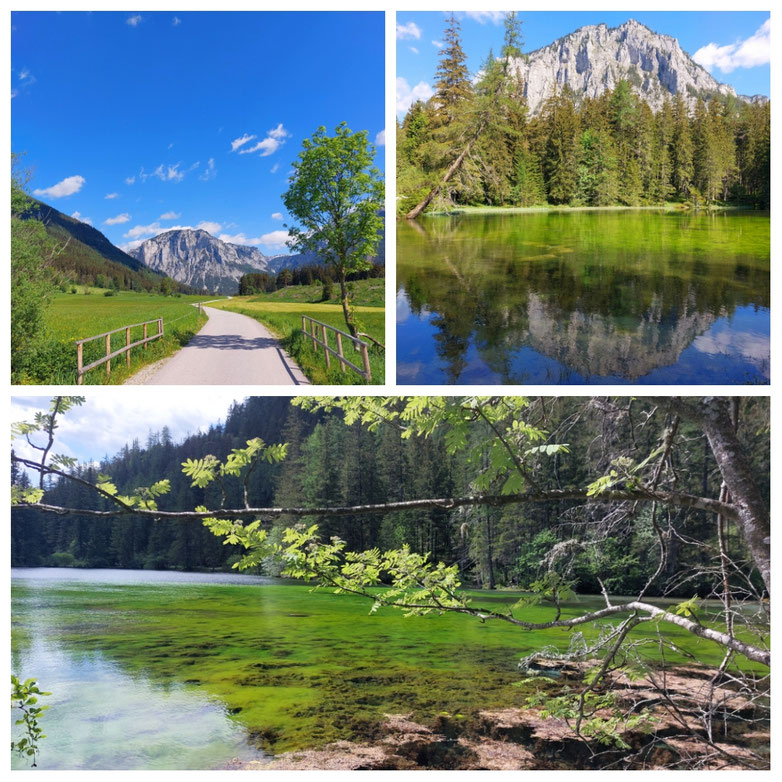 Steiermark, Grüner See, Tragöß, Fölzklamm, Aflenz, Thörl, Leopoldsteinersee, Eisenerz, Gesäuse