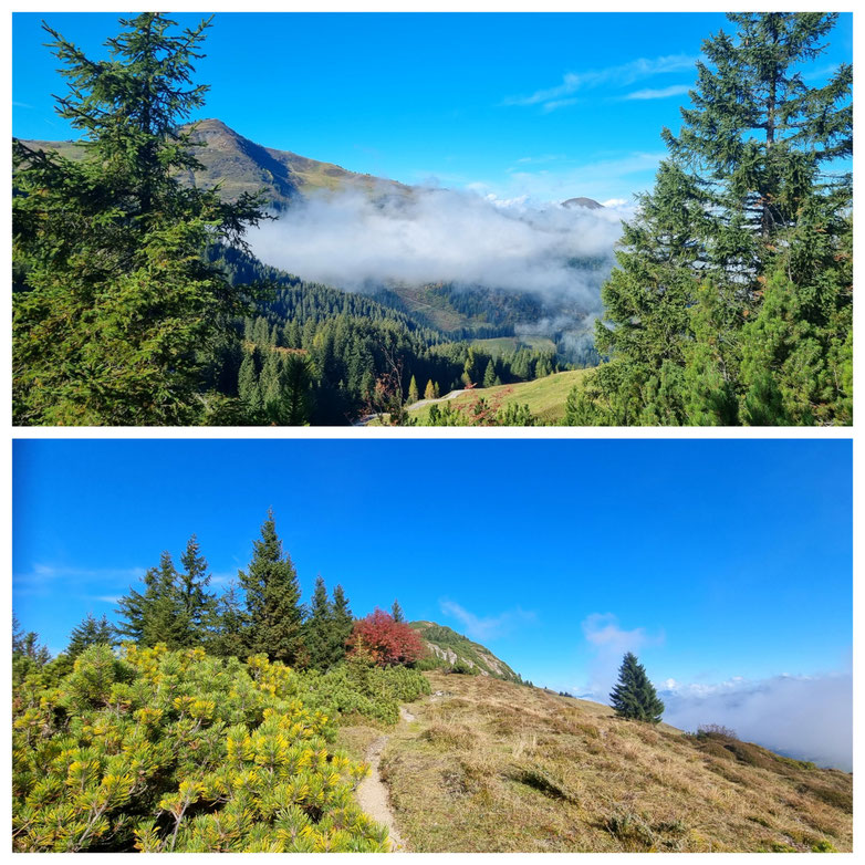 babebi-ontour.com, Hatschn&Haxln, durch ganz Österreich, Tirol, Brixen im Thale, Kirchberg in Tirol, Gaisberg, Gaisbergjoch, Wilder Kaiser, Großer Rettenstein, Panorama, Herbstwanderung