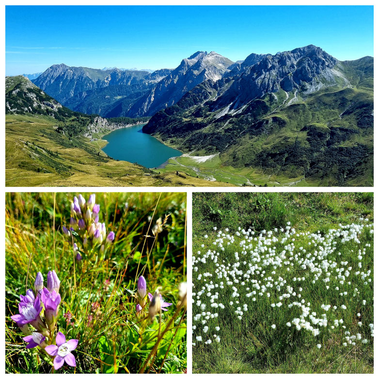 babebi-ontour.com, Hatschn & Haxln, durch ganz Österreich, Großarltal, Hüttschlag, Berg Gesund, Tappenkarsee, Wanderung, Panorama, Tal der Almen, Draugstein