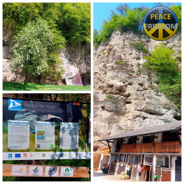 Kuchl, Waldrapp, Georgenberg, Bürgerausee, Panorama, Frühling, kurze Wanderung, Radtour