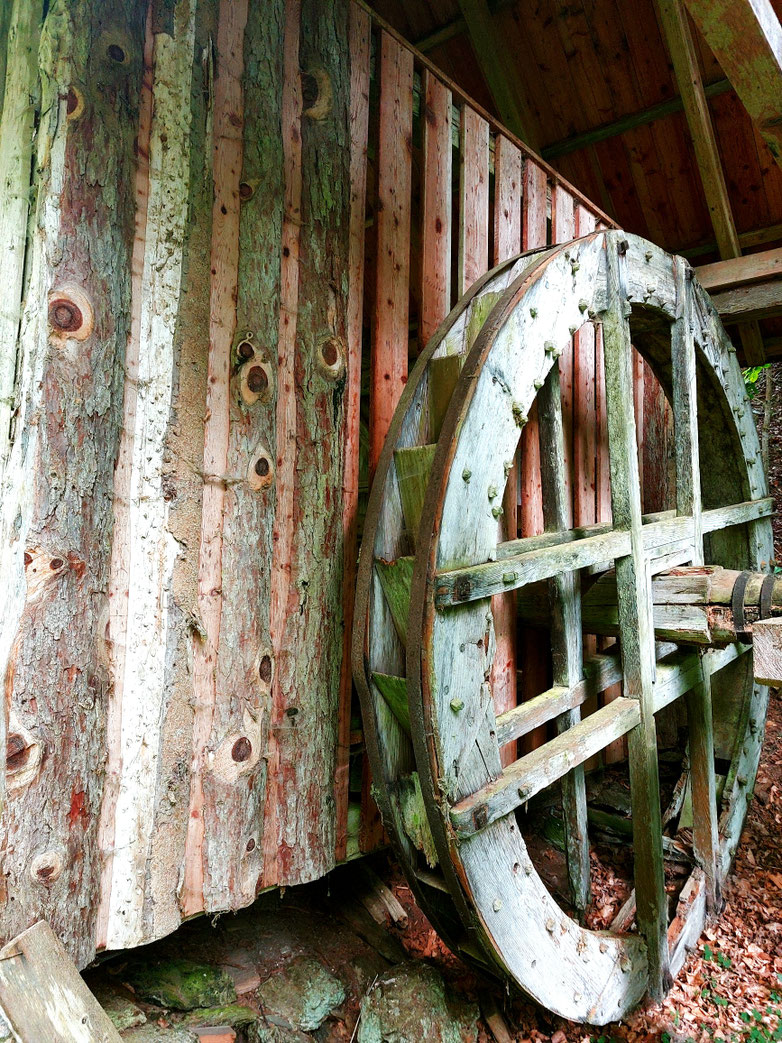  Zeitzeugen, Mediationsweg, Wanderung, Wasserlauf, Alte Mühle, Stille, Kärnten, Urlaub,  Urlaub Kärnten, Poitschacher Graben, Ringelnatter, Radtour, Brunnen, babebi-ontour.com, Hatschn&Haxln, durch ganz Österreich, Kärnten, Urlaub in Kärnten, Radtour 