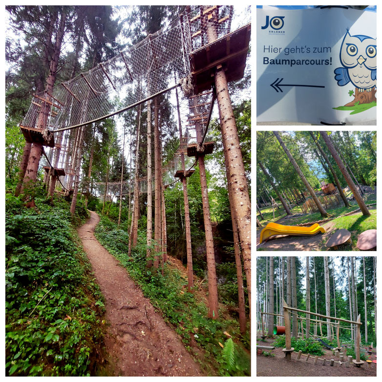 babebi-ontour.com, Hatschn&Haxln, durch ganz Österreich, Salzburger Land, Sankt Johann im Pongau, Hahnbaum, Motorik Park, Kletterpark, kostenlos mit Kindern, Vergnügen im Wald, Bewegung, Wanderung, Familienwanderung, Top Tipp