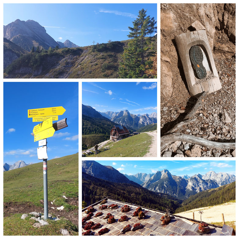 Plumsjoch, Gernalm, Herbst, Tirol, Wandern, Achensee, Achenkirch am Achensee, Pertisau, Tirol, Urlaub, Wandern in Tirol, babebi-ontour.com, Hatschn & Haxln, durch ganz Österreich, Herbstwanderung, bunter Ahorn, Herbstlaub