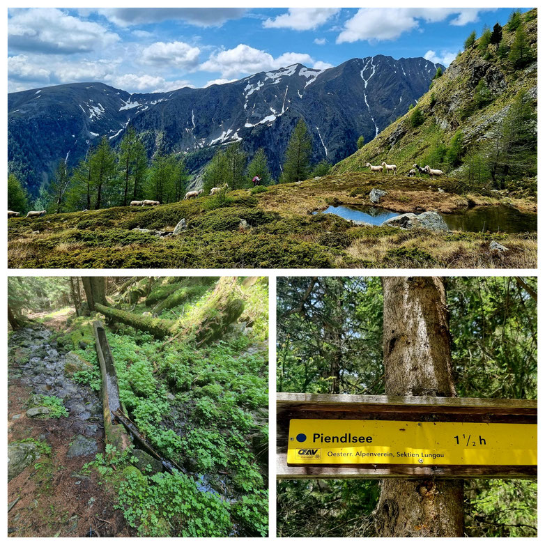 babebi-ontour.com, Hatschn&Haxln, durch ganz Österreich, Lungau, Bike & Hike, Piendlsee, Naturjuwel, Bergsee, Wandern im Lungau