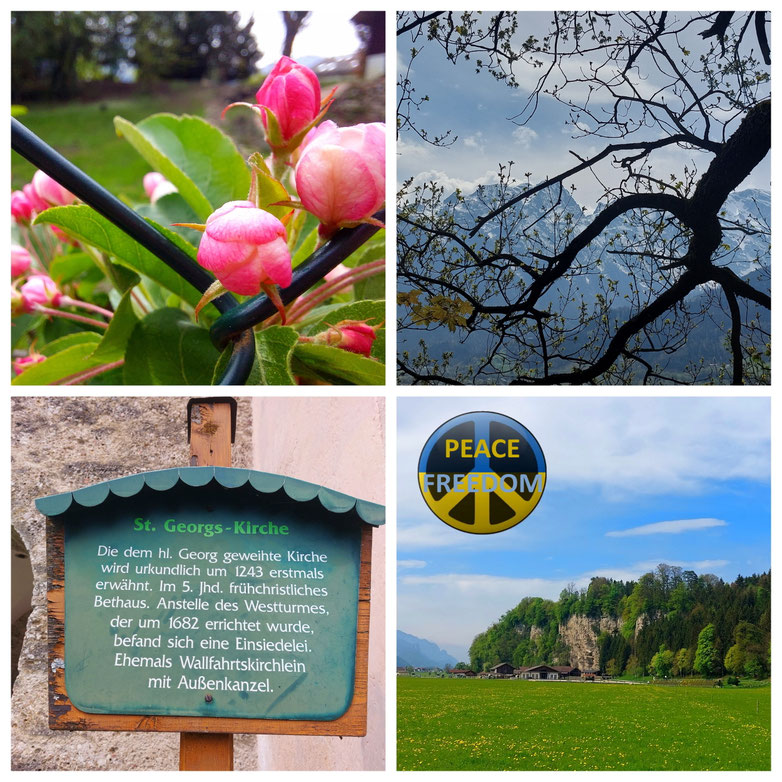 Kuchl, Waldrapp, Georgenberg, Bürgerausee, Panorama, Frühling, kurze Wanderung, Radtour