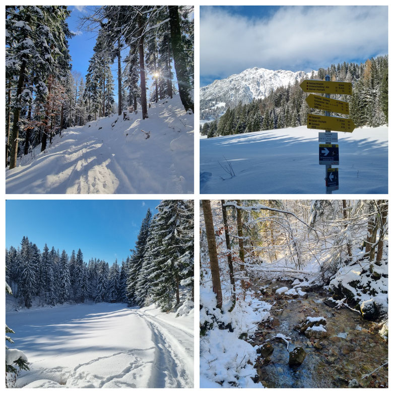 babebi-ontour.com, Hatschn&Haxln, durch ganz Österreich, Tirol, Scheffau am Wilden Kaiser, Schneeschuhwanderung, Winterwunderland, Kaisergebirge, Gämsen, Tiefschnee, Wanderung, Rundtour, Winterwandern, Urlaub in Tirol