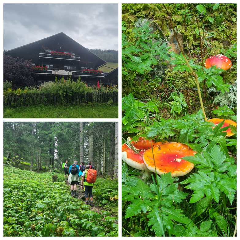 babebi-ontour, Hatschn&Haxln, durch ganz Österreich, Großarltal, Tal der Almen, Trögseen, Wanderung, Breitenebenalm, Ellmaualm, Baden im Bergsee, Bergseen, Panorama
