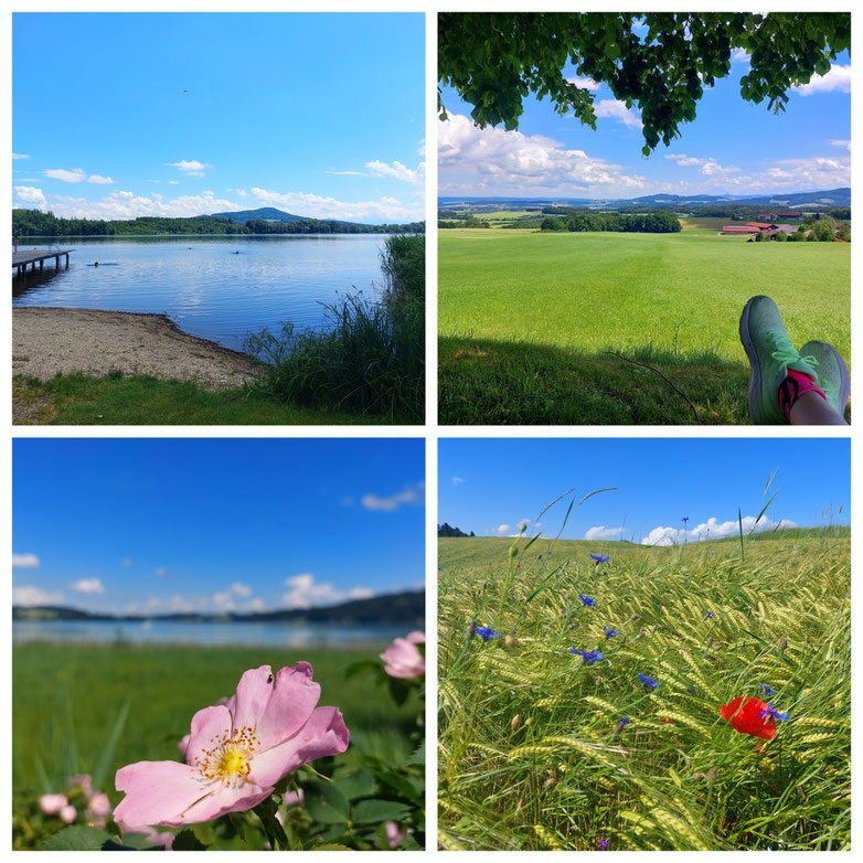 Trumer Seen, Linde am Thurn, Grabensee, Mattsee, Obertrumersee, Wildkarwasserfall