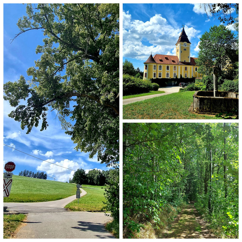 babebi-ontour.com, Hatschn & Haxln, durch ganz Österreich, Rohrbach - Berg, Oepping, Sarleinsbach, Atzesberg, Arnreit, Auberg, Schloß Sprizenstein, Radtour, Große Mühl, Wanderung