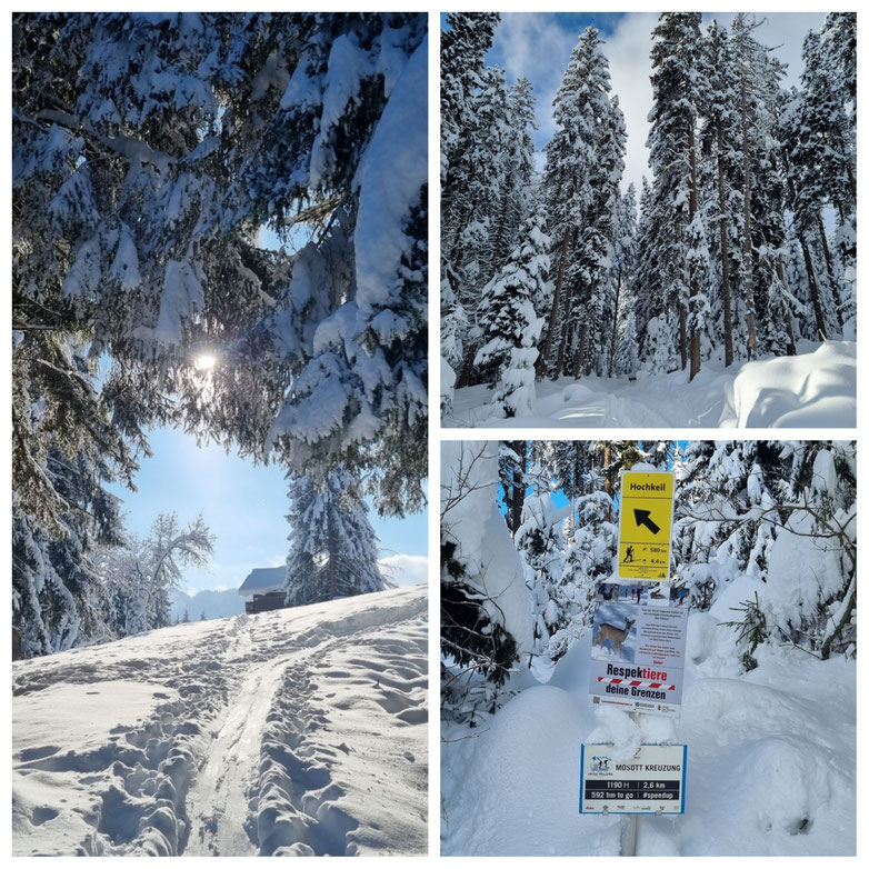 babebi-ontour.com, Hatschn&Haxln, durch ganz Österreich, Skitour, Abseitstour, Lawinensicher, Panorama, Bischofshofen, Mühlbach am Hochkönig, Arthurhaus, Schneeschuhwanderung,