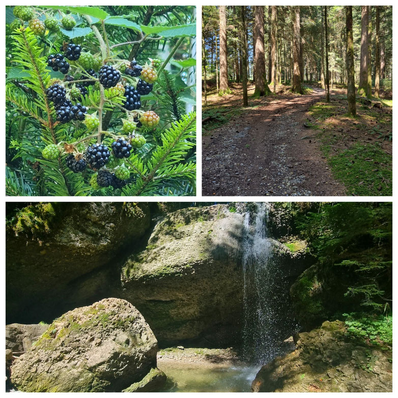 babebi-ontour.com, Hatschn&Haxln, durch ganz Österreich, Bregenzer Wald, Vorarlberg, Bregenzerwälderhaus, Bregenzerache Schlucht, Flussbaden, Bodensee, Andelsbuch, Sibratsgfäll,