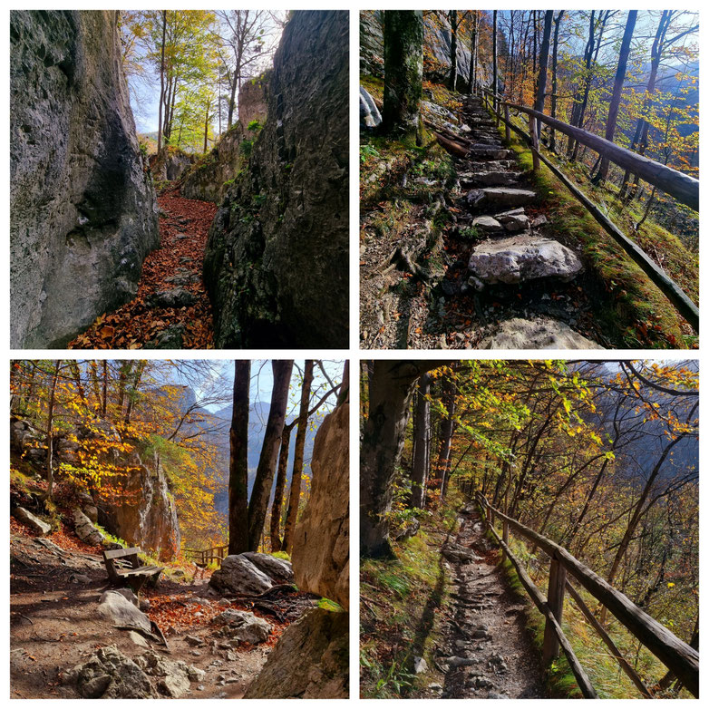 Salzburger Land, Paß Lueg, Salzachöfen, Pongau, Radtour, Lammerklamm, Scheffau, Klammen, wildes Wasser