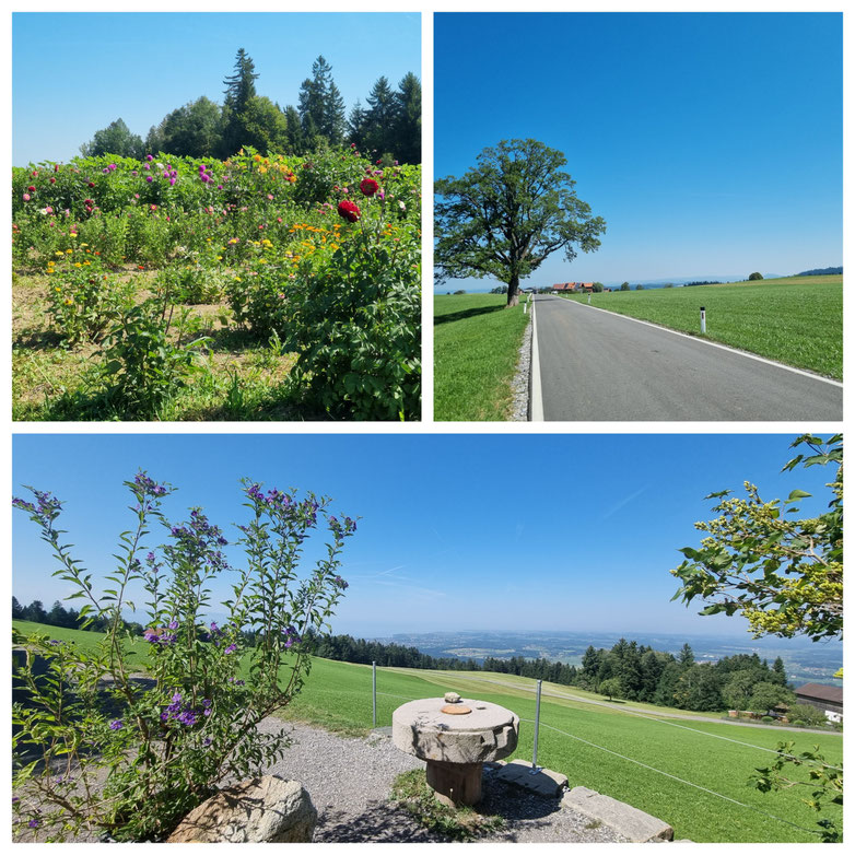 babebi-ontour.com, Hatschn&Haxln, durch ganz Österreich, Bregenzer Wald, Vorarlberg, Bregenzerwälderhaus, Bregenzerache Schlucht, Flussbaden, Bodensee, Andelsbuch, Sibratsgfäll,
