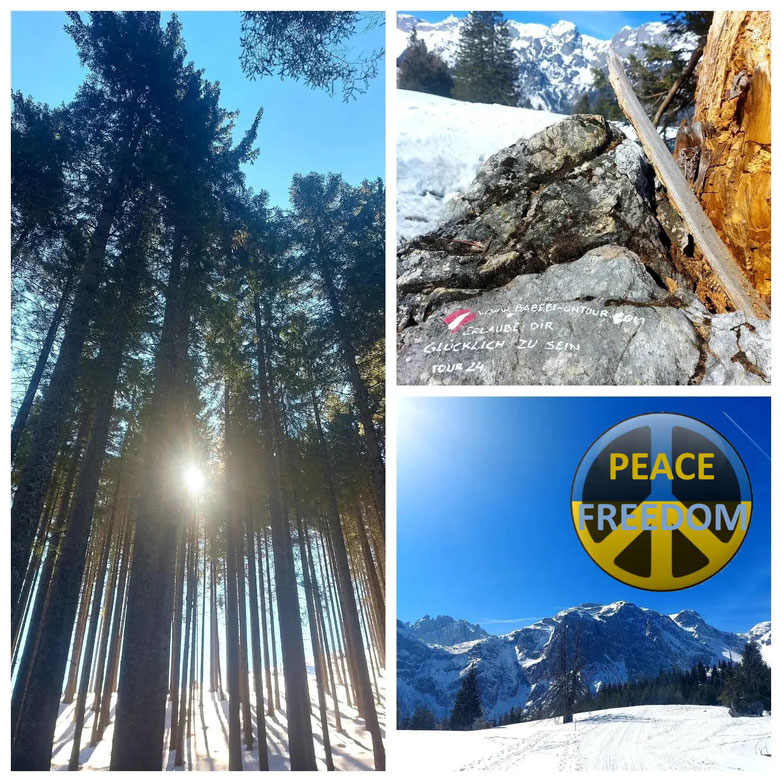 Werfen, Ostpreußen Hütte, Skitour, Salzburger Land, Dielalm, Abseitstour, ungefährliche Tour, Winter, Tourenski
