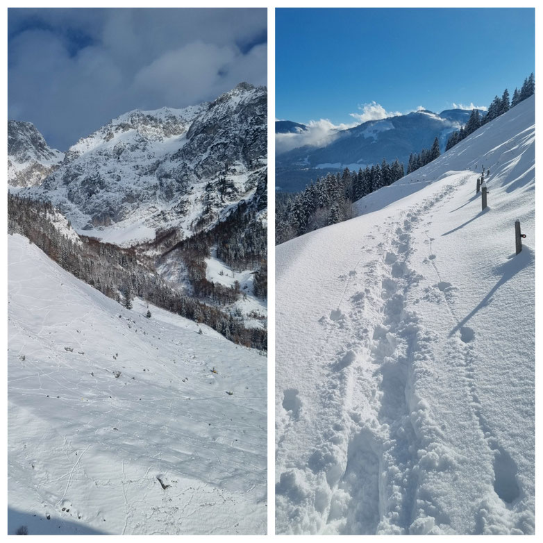  babebi-ontour.com, Hatschn&Haxln, durch ganz Österreich, Tirol, Scheffau am Wilden Kaiser, Schneeschuhwanderung, Winterwunderland, Kaisergebirge, Gämsen, Tiefschnee, Wanderung, Rundtour, Winterwandern, Urlaub in Tirol