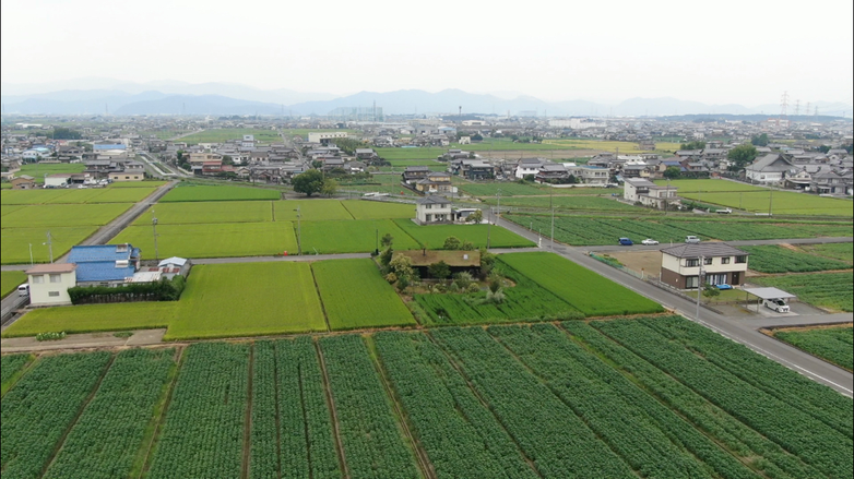 曇っていたのが悔やまれます!