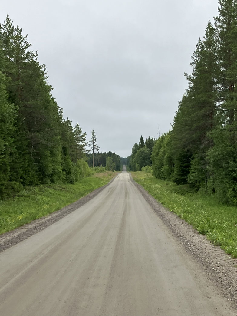 Bikepacking-Tour durch Schweden – Straße mit Gravel – schnurgerade durch grünen Wald unter bewölktem Himmel
