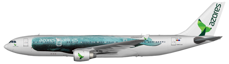 Aircraft Type: Airbus A330-200