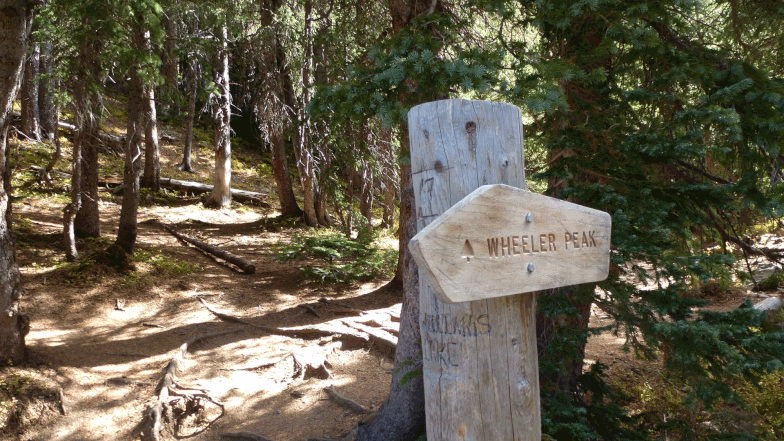 The sign marking the route to Wheeler Peak. The high point on the hike lies just beyond.