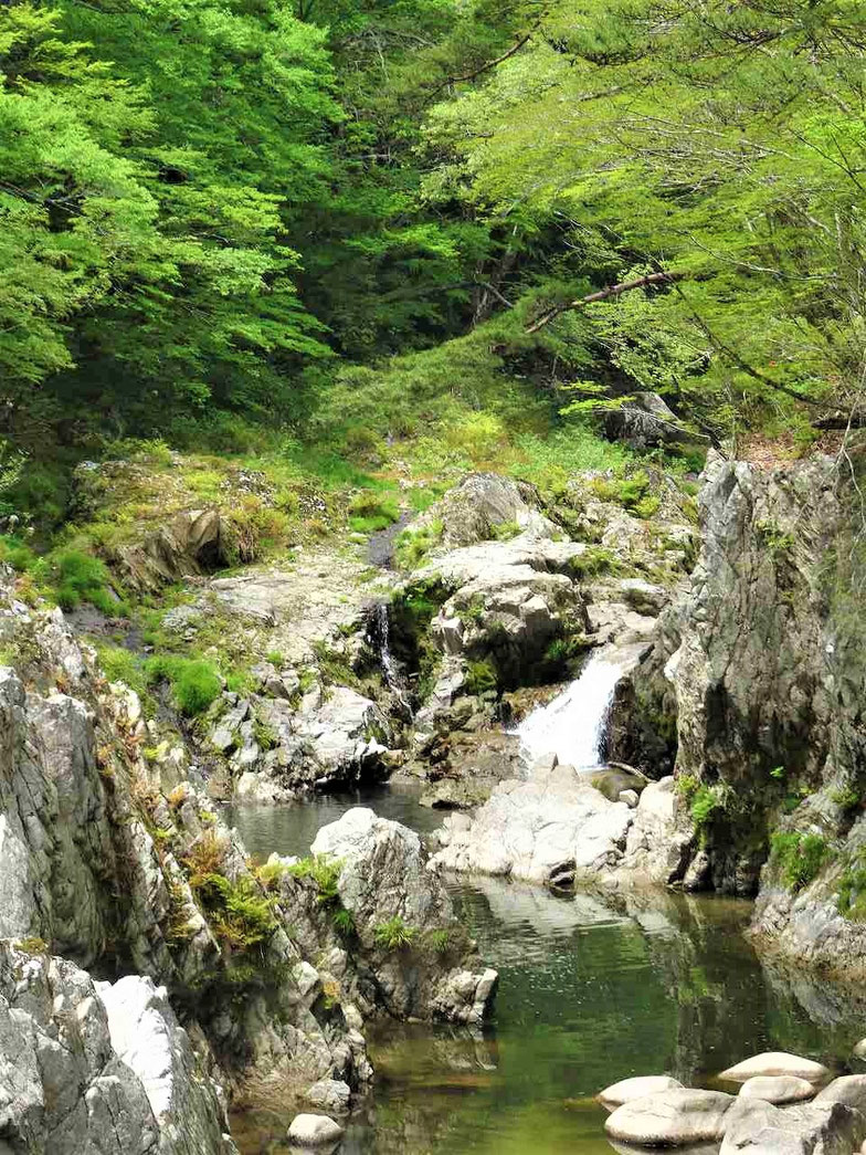 これが篭場の滝かとおもいきや
