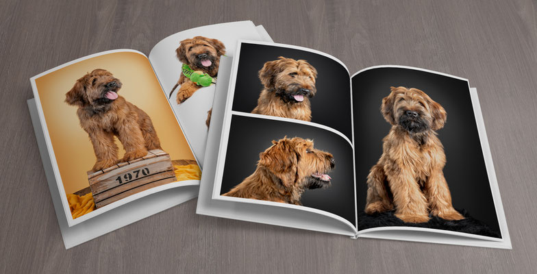 Fotobuch