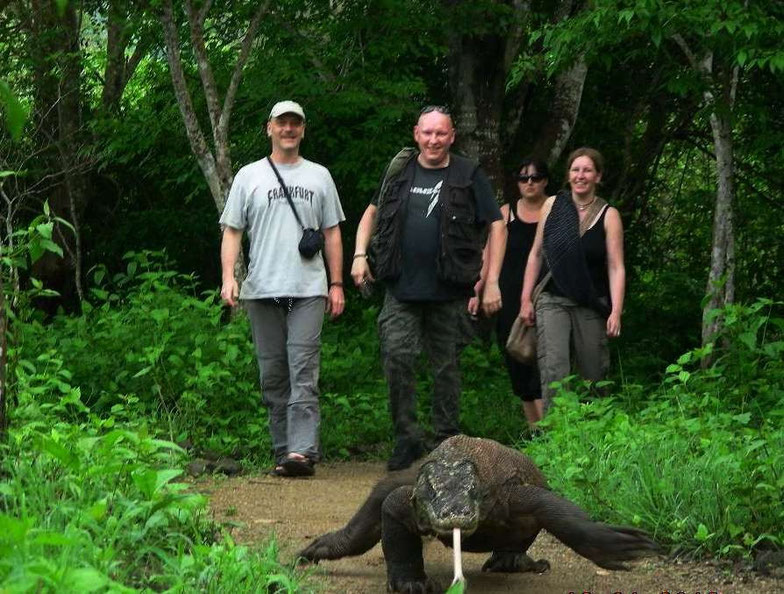 Jalan Jalan with the Komodo-Waran