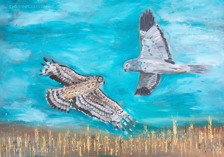 Türkis, Kornweihen, circus, Leinwand, Acryl, acrylic, Landschaftsmalerei, abstrakte Kunst, Acrylmalerei, Pastellfarben, Leinwandmalerei, ökologische Malerei, Kunst, Kunstwerk, Original, artwork, painting