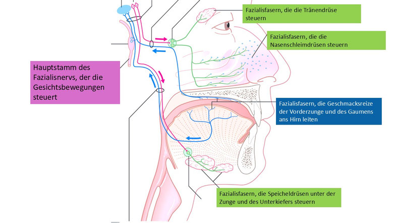 Grafik verändert durch sho nach einer Vorlage von entokey.com