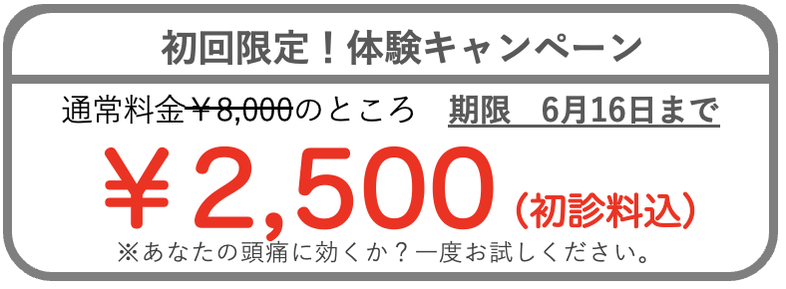 体験キャンペーン2500円