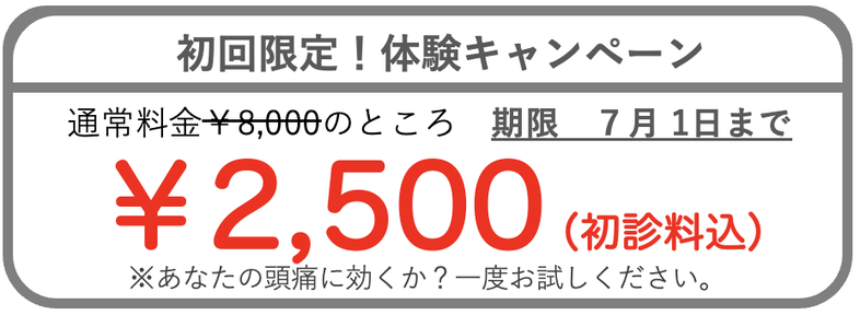体験キャンペーン2500円