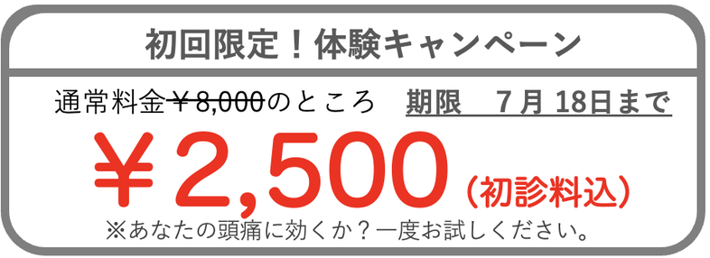 体験キャンペーン2500円