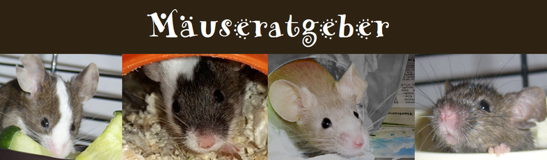 Mäuse-Ratgeber