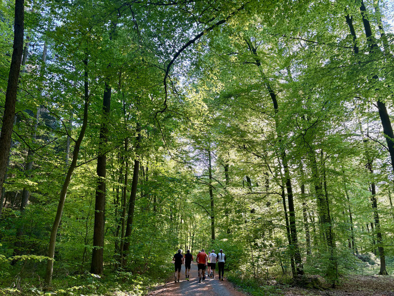 Frühlingslauf mit dem Darmstädter Lauf-Treff
