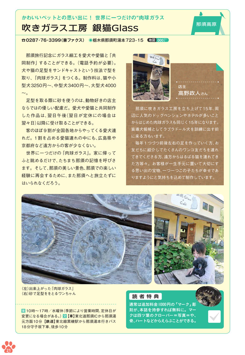 ペットと親子旅 銀猫glass ペットと親子旅 銀猫glass
