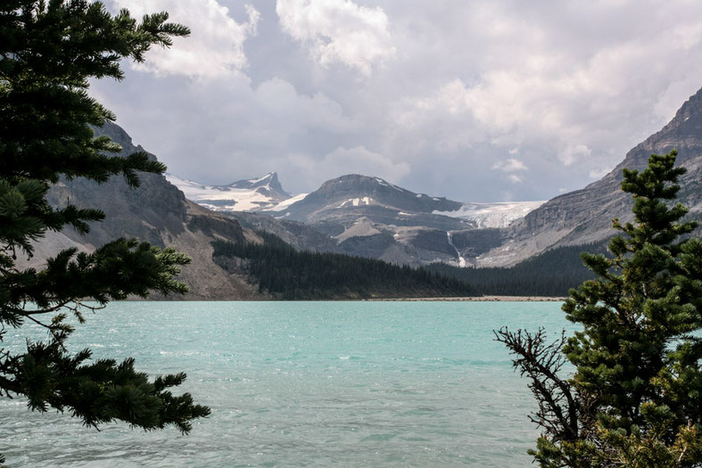 Am anderen Ende des Bow Lake gleitet der Bow Gletscher talwärts.