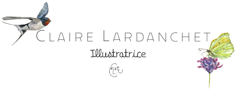 Site de claire-l-art-danche !
