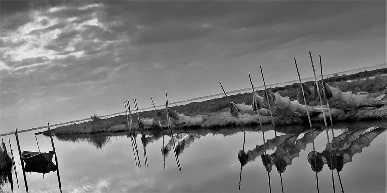reflet matinal-ell-18